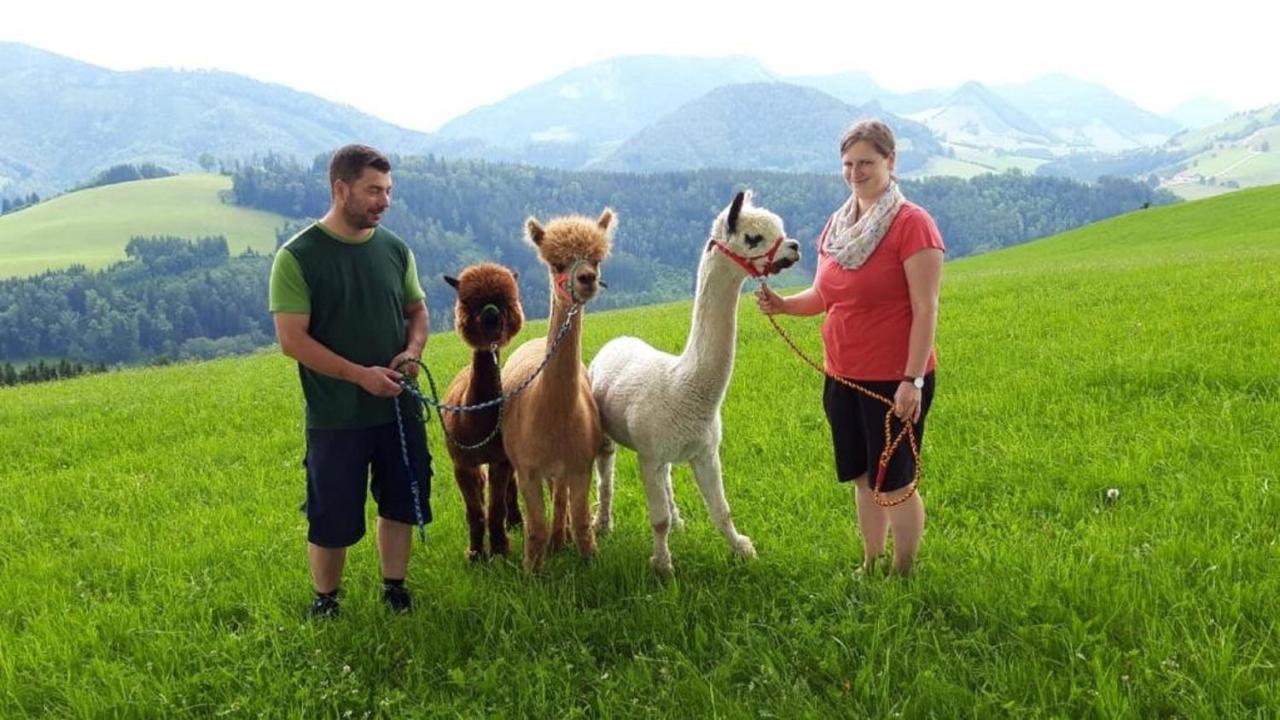 Mitterhirschberg, Familie Schweighuber Διαμέρισμα Waidhofen an der Ybbs Εξωτερικό φωτογραφία