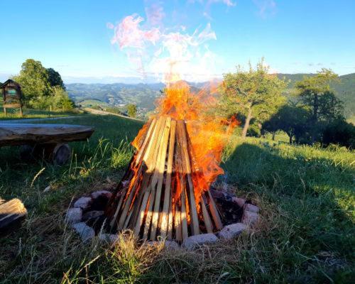 Mitterhirschberg, Familie Schweighuber Διαμέρισμα Waidhofen an der Ybbs Εξωτερικό φωτογραφία